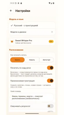 Настройки: как записывать, что печатать, свой словарь